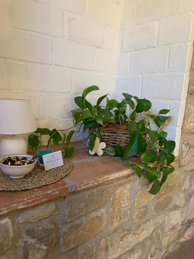 Da Agostino, La Casa Del Latte
